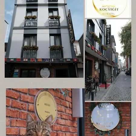 Kocyigit &