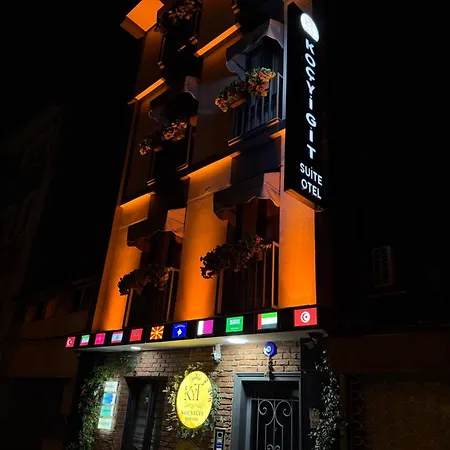 公寓式酒店 Kocyigit & 伊斯坦布尔